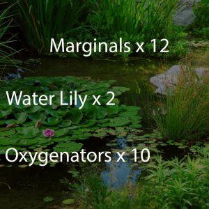 Medium Pond Wildlife Planting Scheme