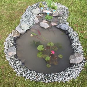 Miniature Lily Wildlife Planting Scheme